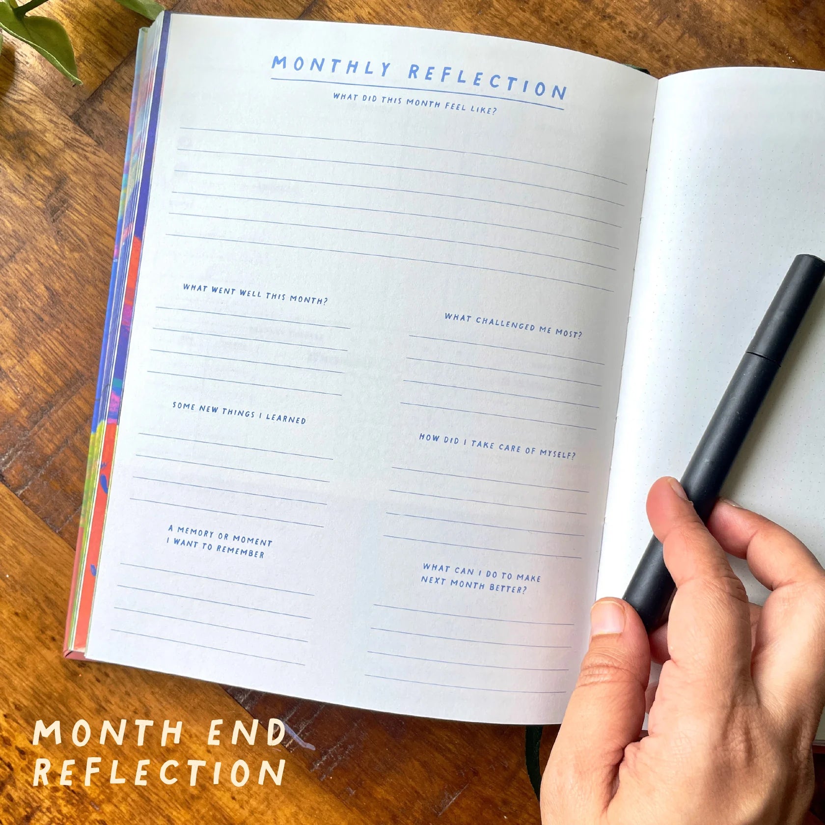 Fields of Calm - Dated Planner and Journal-2026