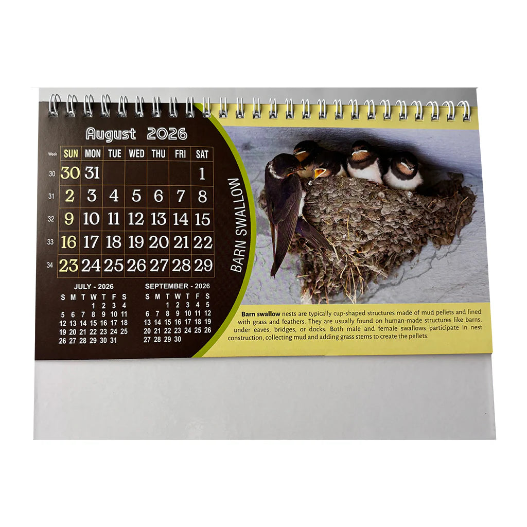 NTL 03 Table Calendar 2026