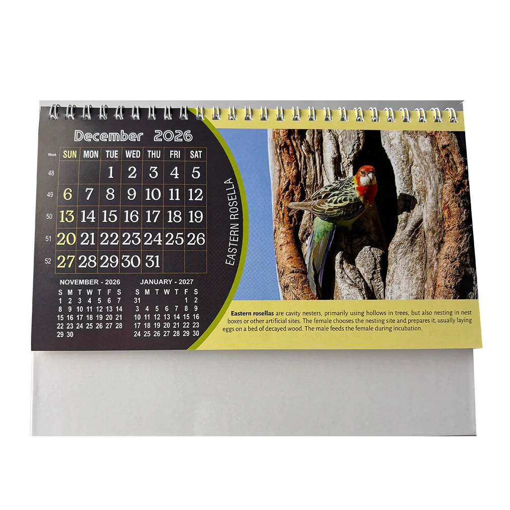 NTL 03 Table Calendar 2026