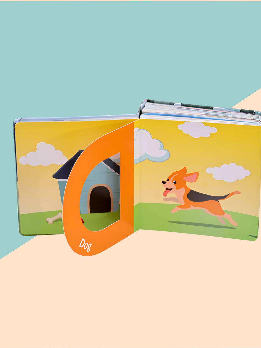 Alpha die-cut board book