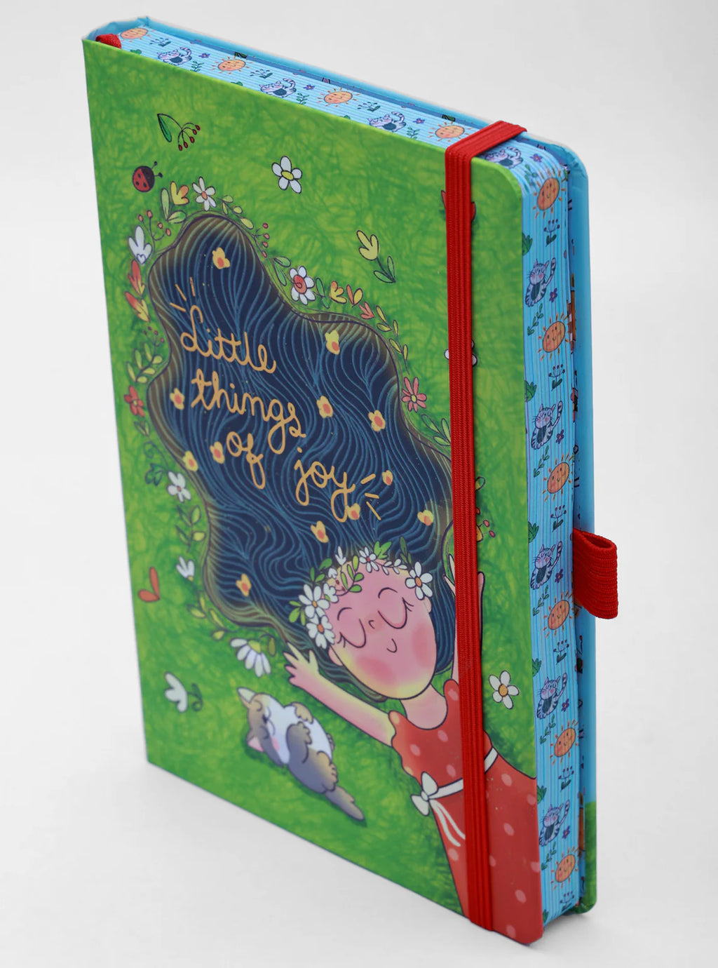 Little Things of joy Hard Cover